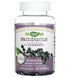 Nature's Way Sambucus for Kids 60 Gummies 104045 фото 1 Proteininlviv