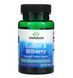Добавка для здоровья глаз Swanson Lutein & Bilberry 120 Softgels 174114 фото 1 Proteininlviv