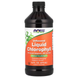 Рідкий хлорофіл NOW Foods Liquid Chlorophyll 16 fl oz (473 ml) (Unflavored) 148519 фото 1 Proteininlviv