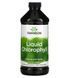 Рідкий хлорофіл Swanson Liquid Chlorophyll (100 mg) 473 ml 174019 фото 1 Proteininlviv