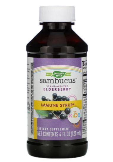 Nature's Way Sambucus for Kids Standardized Elderberry 120 ml 104012 Proteininlviv