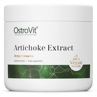 OstroVit Artichoke Extract 100 g 155377 Proteininlviv