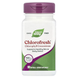 Nature's Way Chlorofresh Chlorophyll Concentrate 50 mg 90 Softgels 104038 фото 1 Proteininlviv