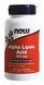 Универсальный антиоксидант NOW Foods Alpha Lipoic Acid 100 mg 60 caps 148093 фото 1 Proteininlviv