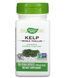 Nature's Way Kelp 600 mg 100 Veg Caps (ламинария, йод) 104047 фото 3 Proteininlviv